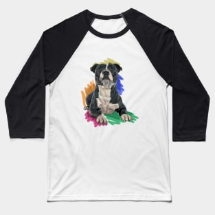 The Staffordshire Bull Terrier Baseball T-Shirt